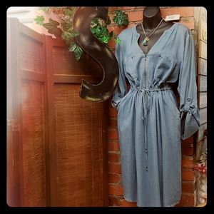 Torrid Chambray Shirt Dress